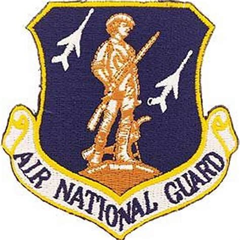 Air National Guard Shoulder Patch