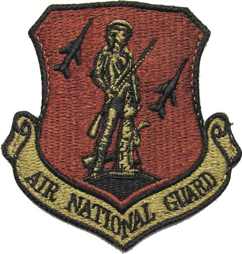 Air National Guard Uniform Patch