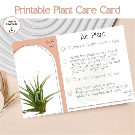 Printable Air Plant Care Card