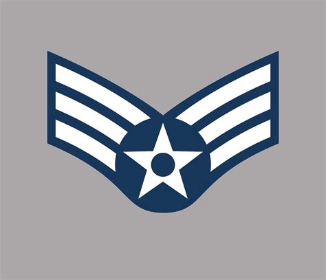 Airman E-1 insignia