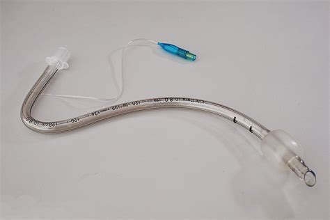 Airway management device