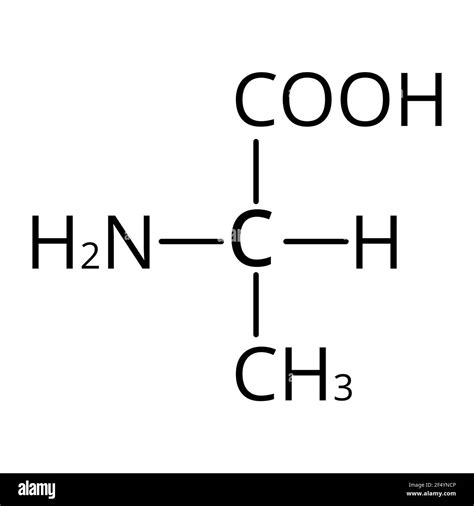 Alanine structure illustration