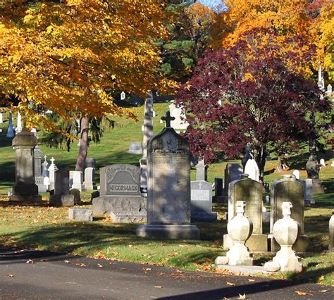 Albany Ny Cemeteries