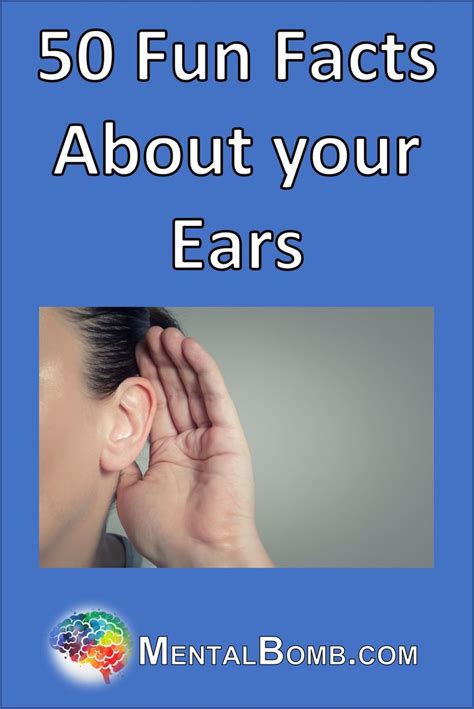 Alien Ears Fun Facts