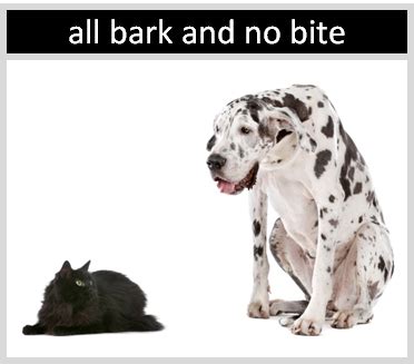 Examples of All Bark No Bite