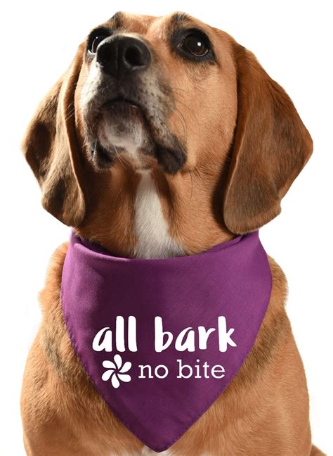 All Bark No Bite Image 5