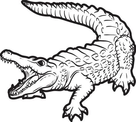 Alligator coloring pages for kids