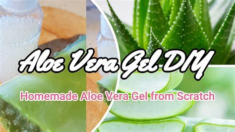 Aloe Vera Gel for Sprunki Scratch