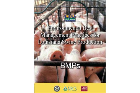 Farming Practices for Alpine Swine