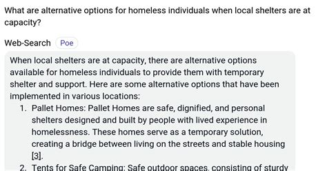 Alternative options for homeless individuals