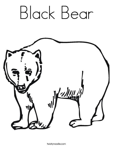 American Black Bear Coloring Pages