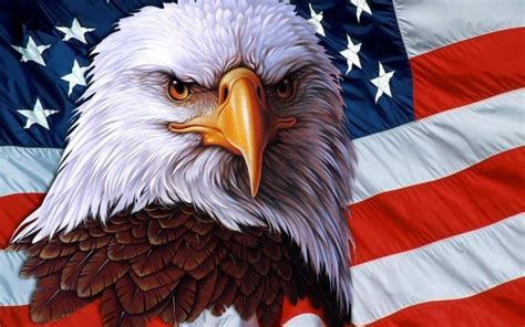 American eagle symbol of freedom