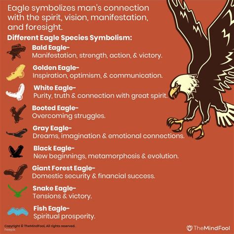 American Eagle Symbolism