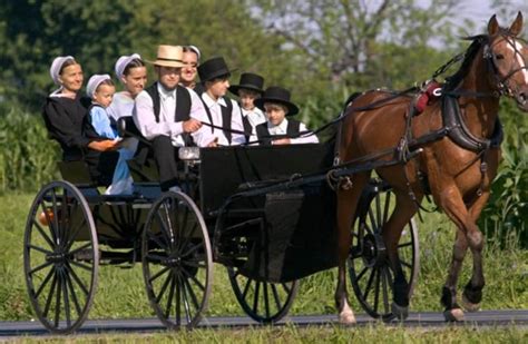 Amish Culture