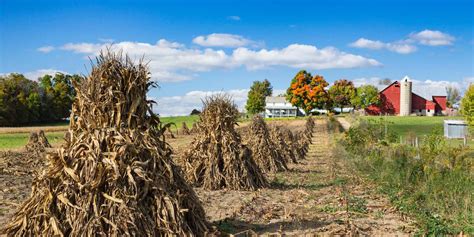 Amish farming and self-sufficiency