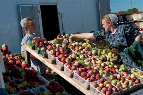 Amish community using food stamps