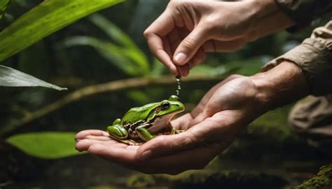 Amphibian conservation