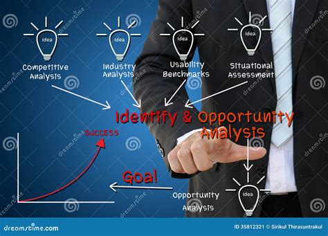 Analyze and Identify Opportunities