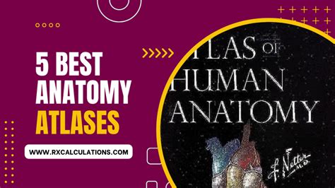 Anatomy Atlases