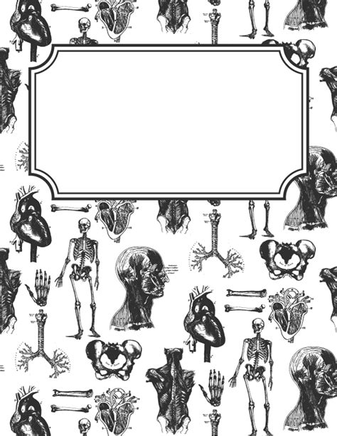 Anatomy Binder Cover Printable Template