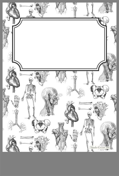 Anatomy Binder Cover Template 1