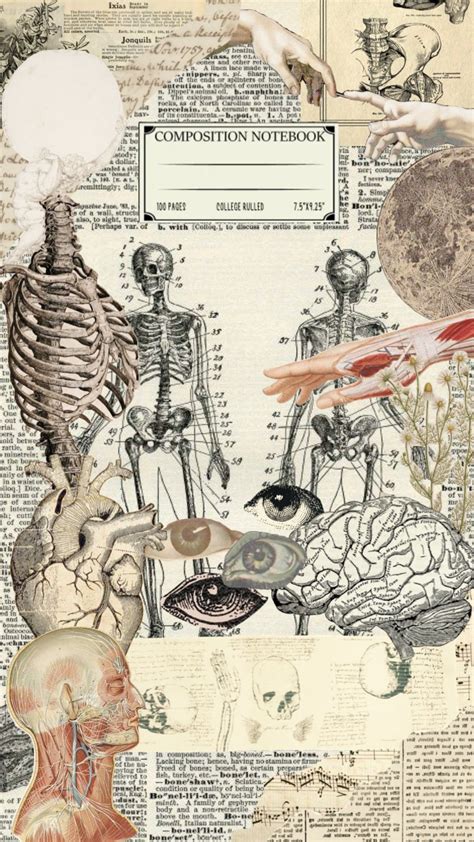 Anatomy Binder Cover Template Design Inspiration