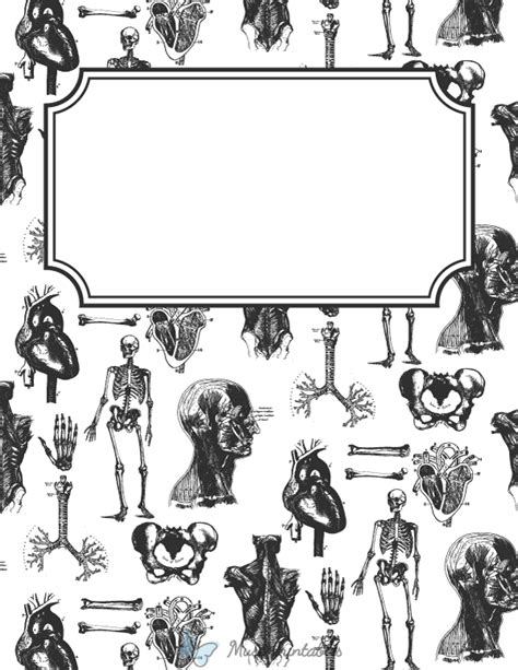 Anatomy Binder Cover Template Free