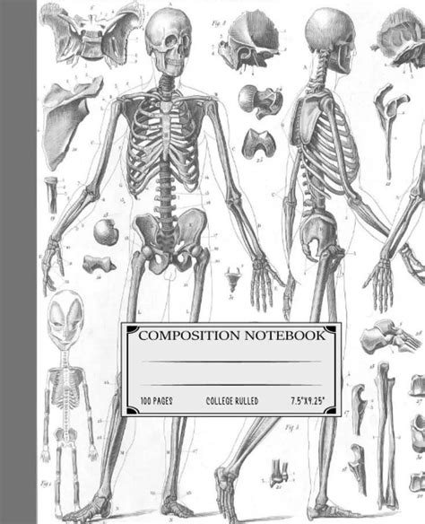 Anatomy Binder Cover Template Ideas and Inspiration