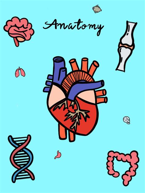 Anatomy Binder Cover Template Ideas