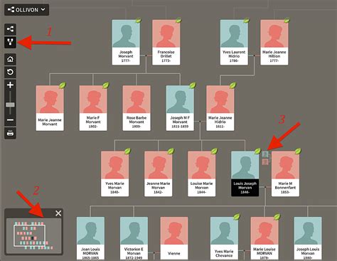 Ancestry Family Tree