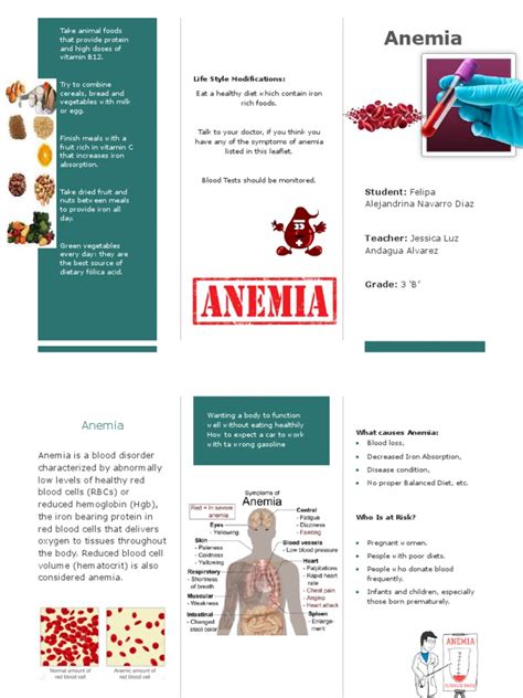 Anemia Lifestyle Modifications