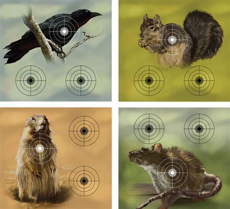 Animal Airgun Target