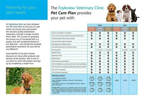 Veterinarian developing a care plan for an animal