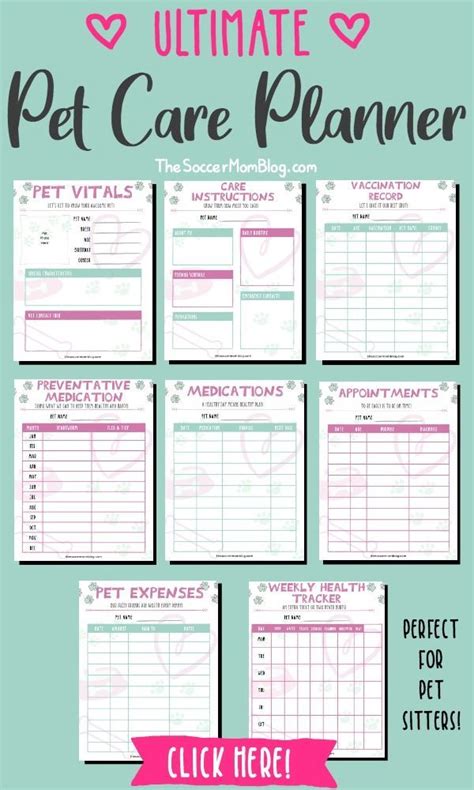 Animal Care Template