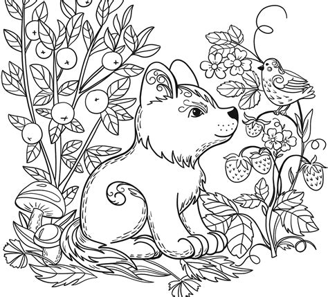 Animal Coloring Pages Gallery 4