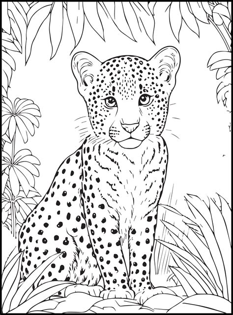 Animal Coloring Sheets