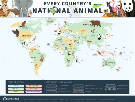 Animal Conservation Map