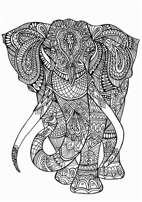 Animal Designs Coloring Pages