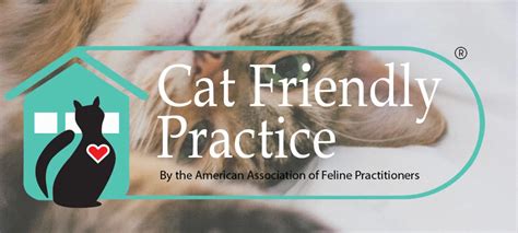 Animal-friendly practices in Guilford