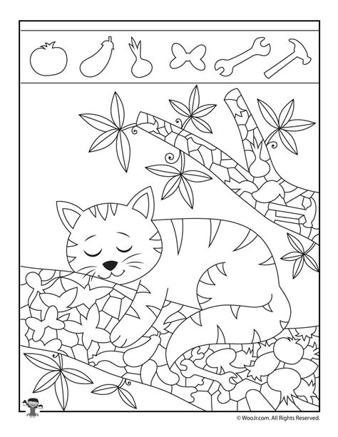 Animal Hidden Pictures Printable