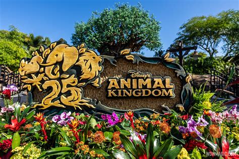 Animal Kingdom