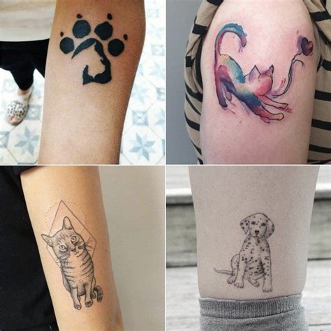 Animal Lover Tattoos