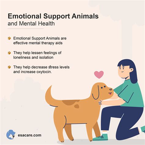 Supporting Animal Mental Health