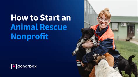 Animal Rescue Non-Profits Website Template