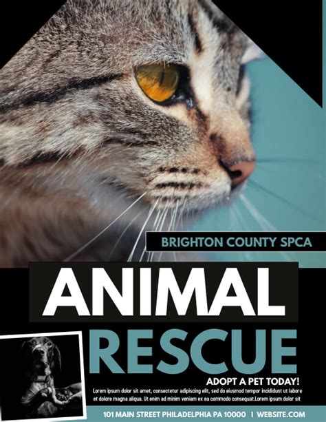 Animal Rescue Template 5