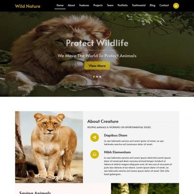 Animal Rescue Website Template Design