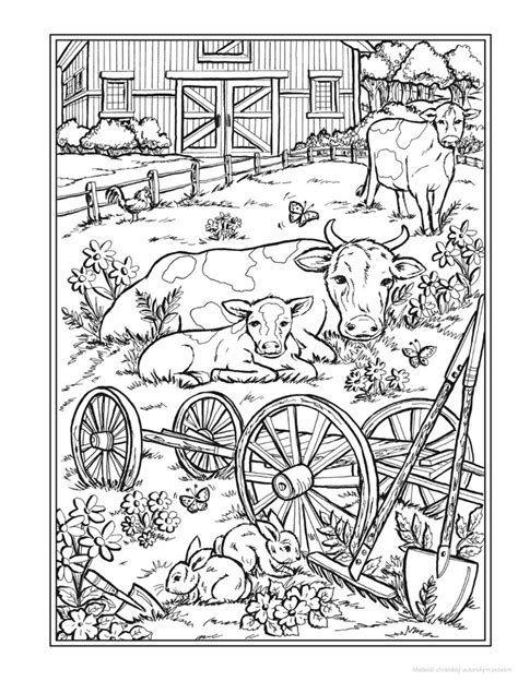 Animal Scenes Coloring Pages