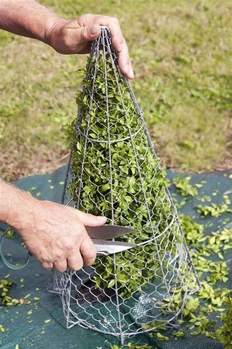 Animal-shaped wire template for bush trimming