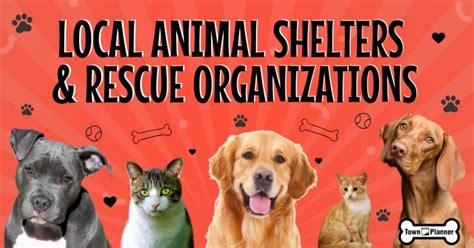 Animal Shelters and Rescue Organizations