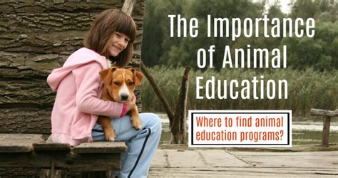 Animal welfare education in Guilford